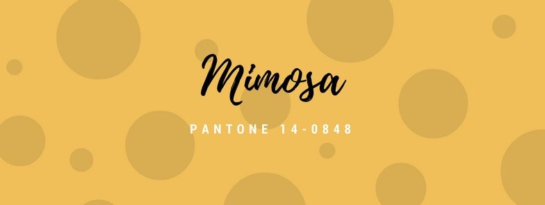 Color del año Pantone 2009 Mimosa