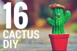 Cactus DIY