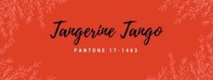 Color del año Pantone 2012 Tangerine Tango