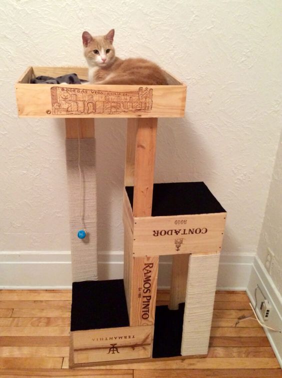 Caja para gatos