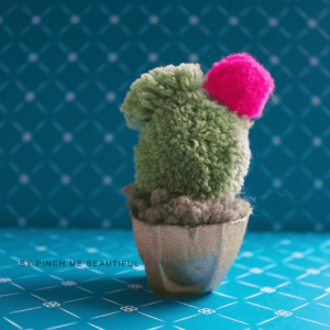 Cactus con pompones