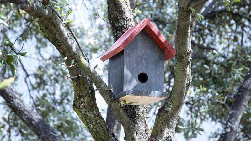 Cómo hacer una casita de madera para pájaros