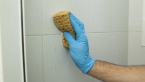 Cómo limpiar el moho de la ducha