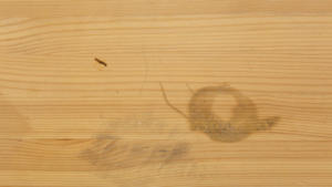 Cómo eliminar las manchas en una mesa de madera