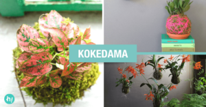 Kokedama arte floral japonés