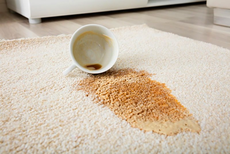 Taza de café con leche derramada sobre una alfombra blanca