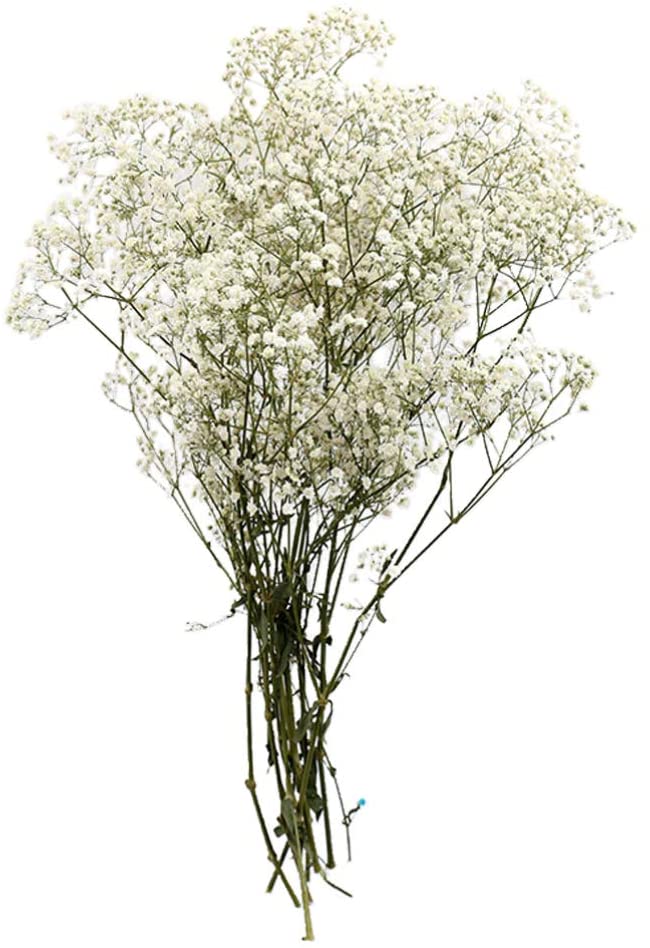 Ramillete de flores blancas 